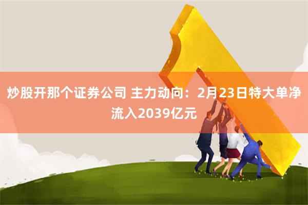 炒股开那个证券公司 主力动向：2月23日特大单净流入2039亿元