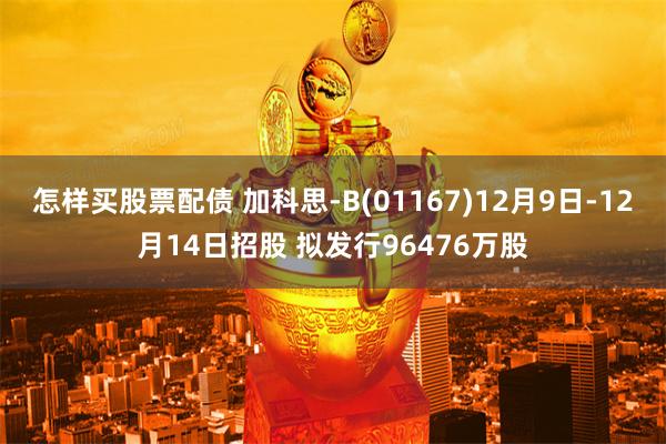 怎样买股票配债 加科思-B(01167)12月9日-12月14日招股 拟发行96476万股