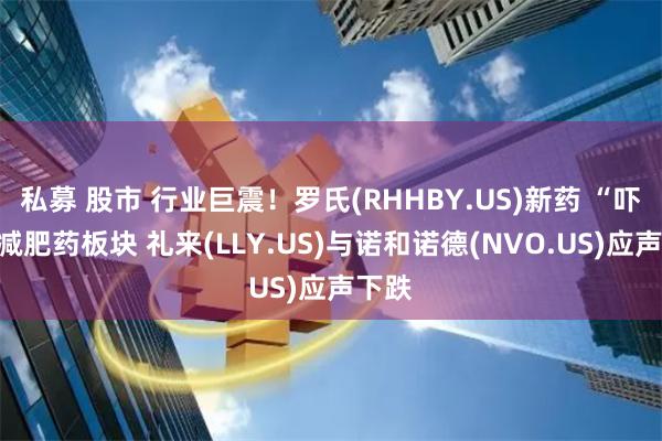 私募 股市 行业巨震！罗氏(RHHBY.US)新药 “吓坏”减肥药板块 礼来(LLY.US)与诺和诺德(NVO.US)应声下跌